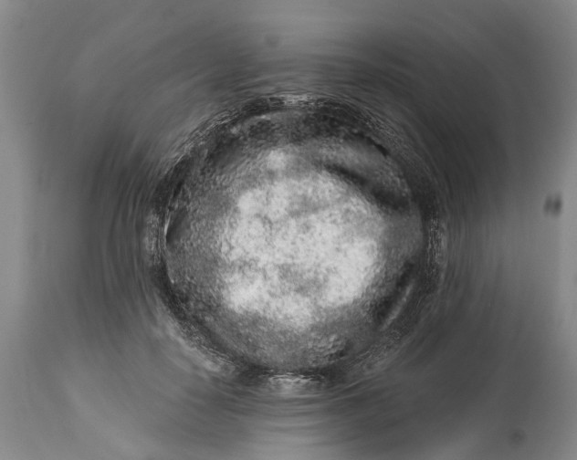 X0000114990650200911091336