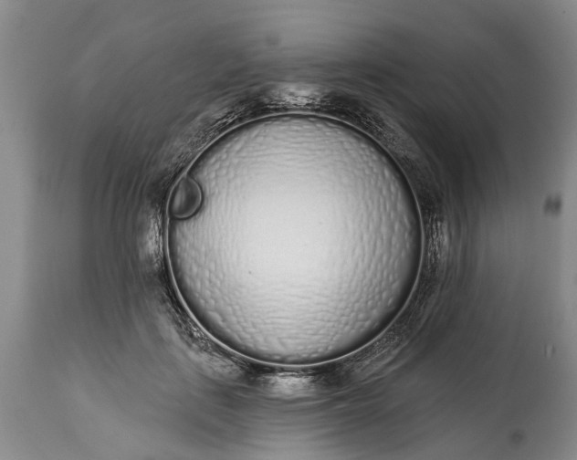 X0000114990651200911091336