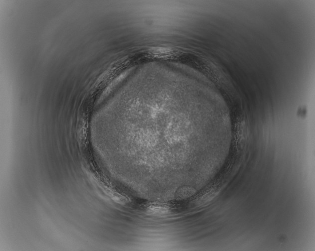 X0000114990653200911091336