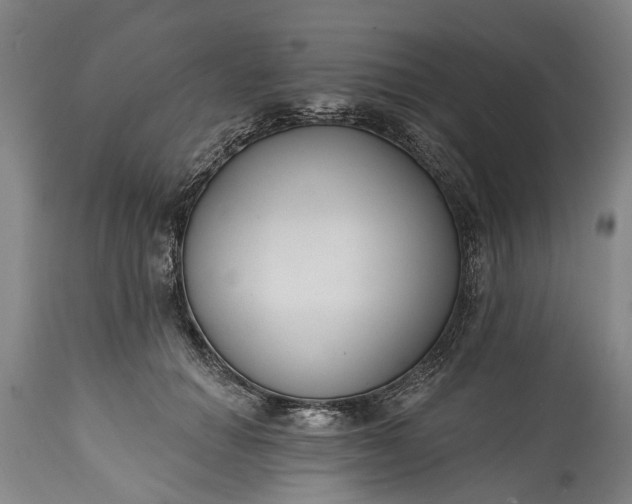 X0000114990654200911091336