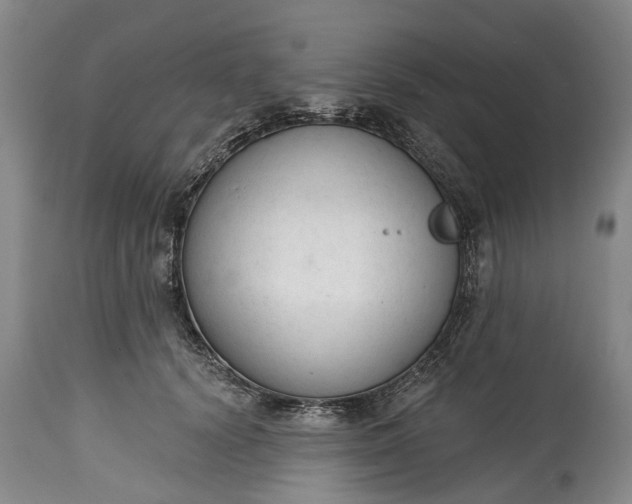 X0000114990656200911091336