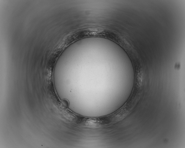 X0000114990657200911091336