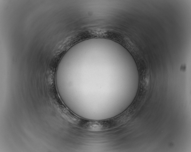X0000114990658200911091336
