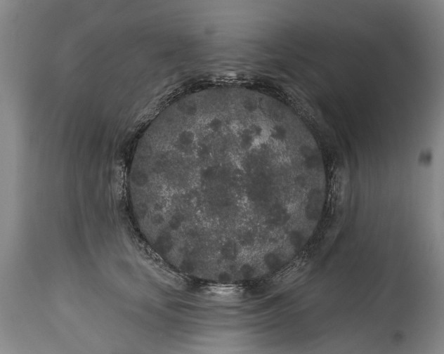 X0000114990659200911091336