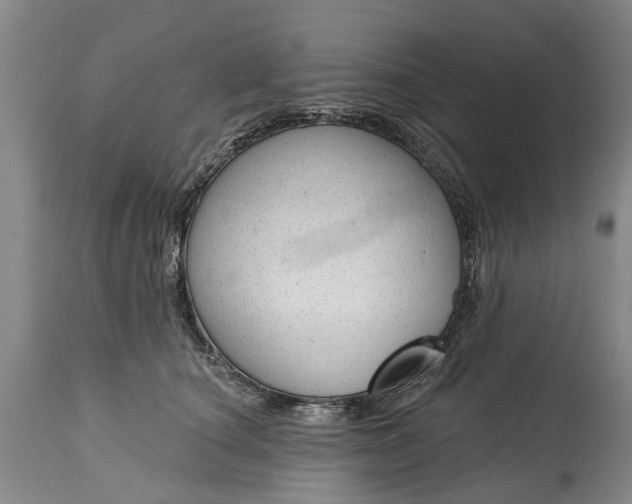 X0000114990660200911091336