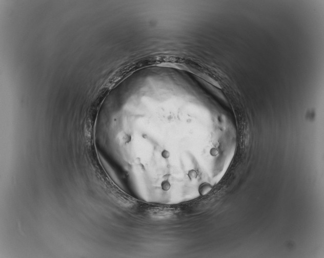 X0000114990661200911091336