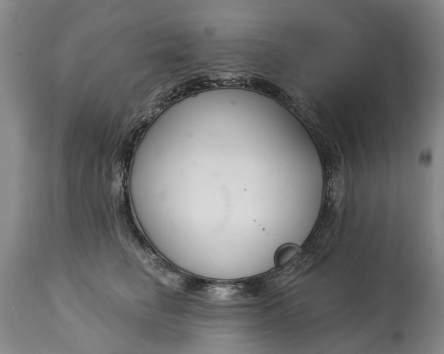 X0000114990662200911091336