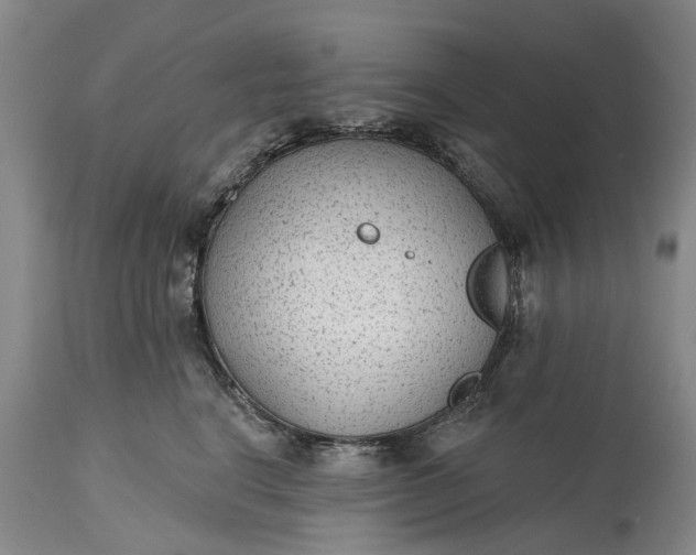 X0000114990664200911091336