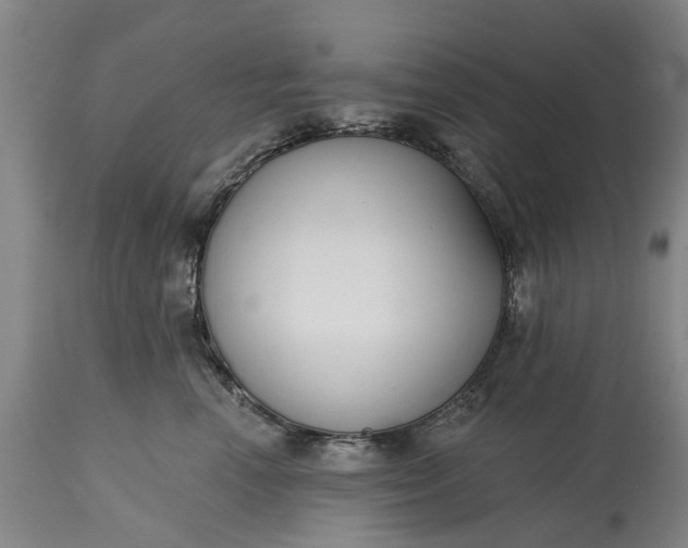 X0000114990666200911091336