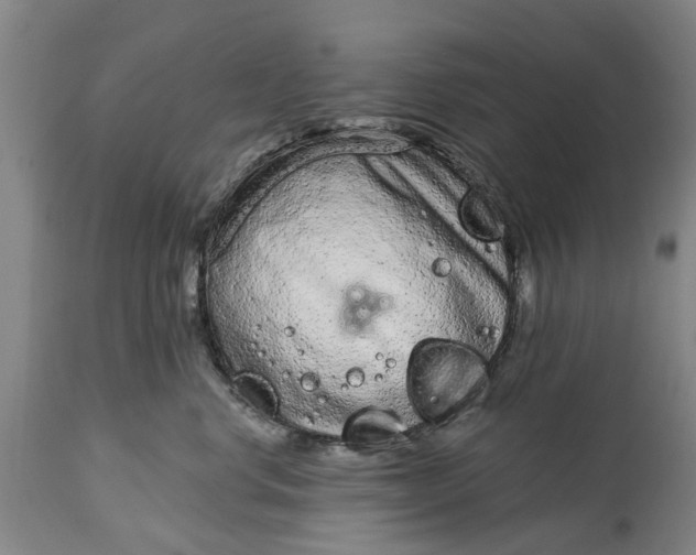 X0000114990668200911091336