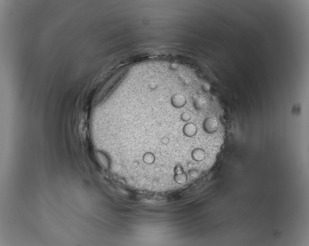 X0000114990671200911091336