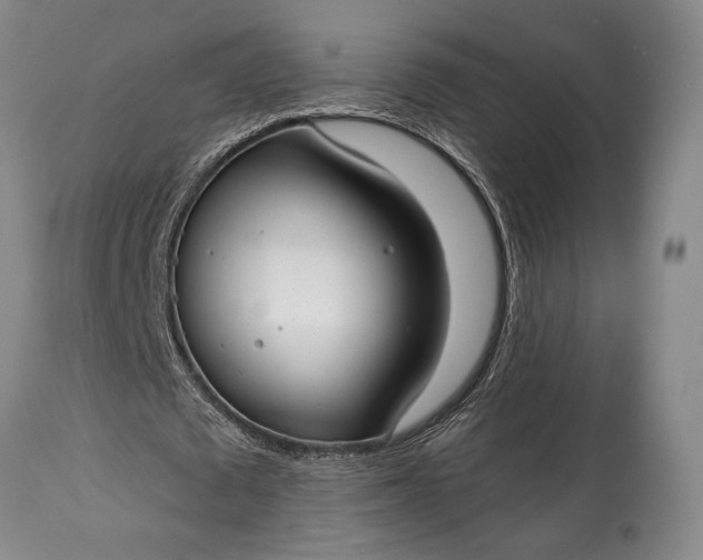 X0000114990673200911091335