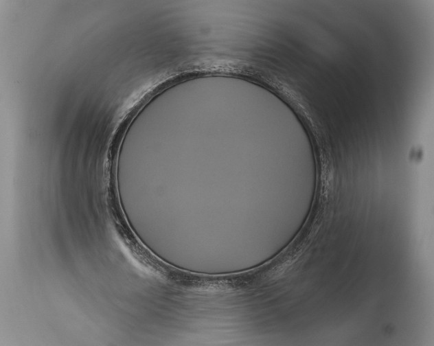 X0000114990674200911091335