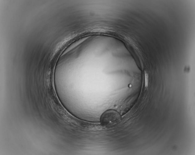 X0000114990675200911091335
