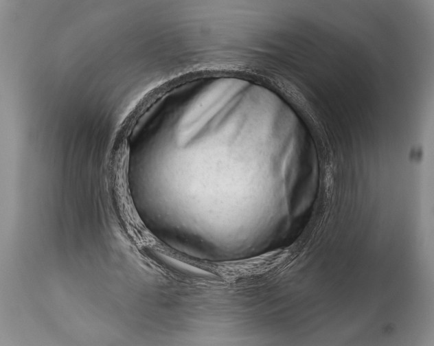 X0000114990676200911091335