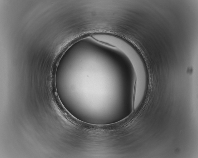X0000114990677200911091335