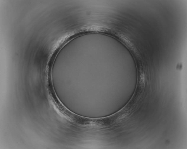 X0000114990678200911091335