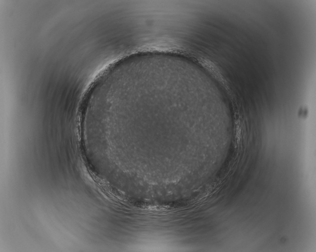 X0000114990680200911091335
