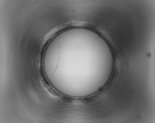 X0000114990682200911091335