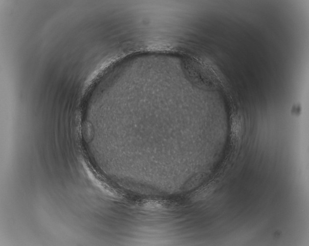 X0000114990684200911091335