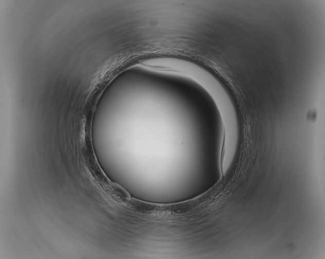 X0000114990685200911091335