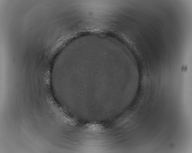 X0000114990689200911091335