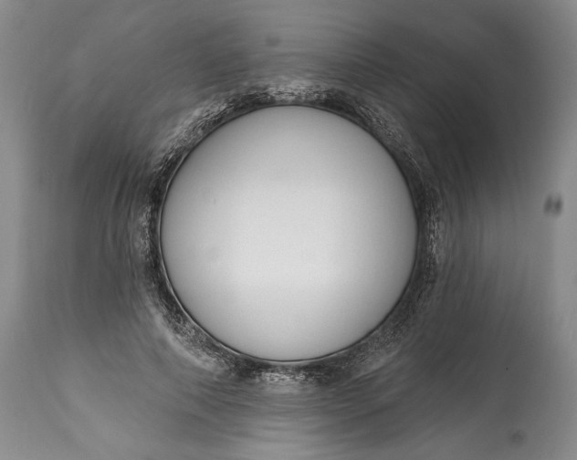 X0000114990690200911091335