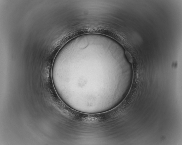 X0000114990691200911091335
