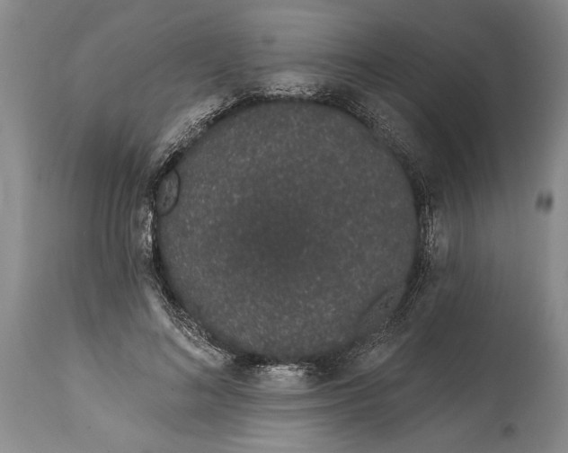 X0000114990692200911091335