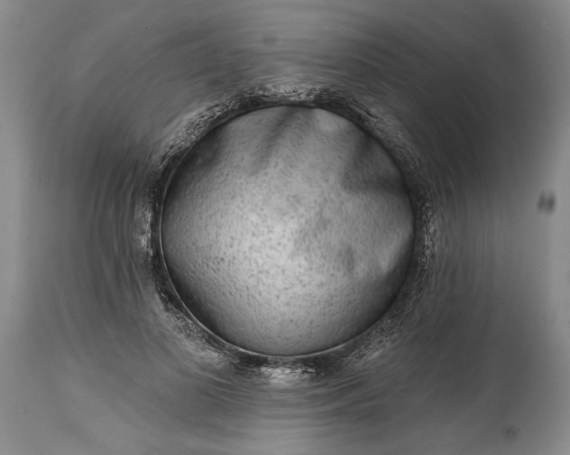 X0000114990693200911091335