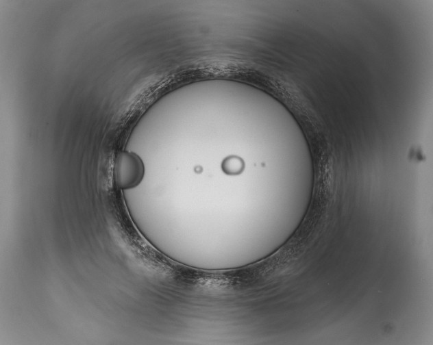 X0000114990694200911091335