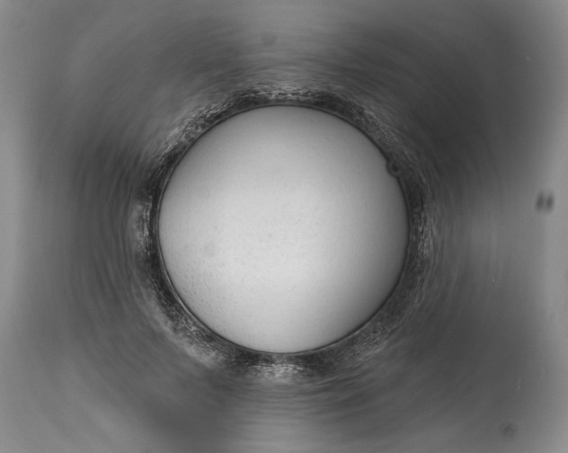 X0000114990695200911091335