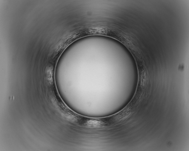 X0000114990699200911091335