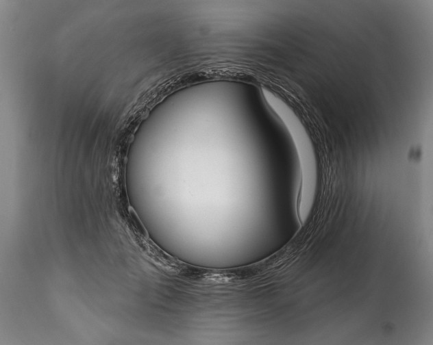 X0000114990701200911091335