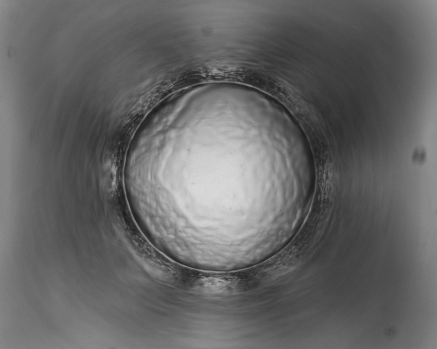 X0000114990703200911091335