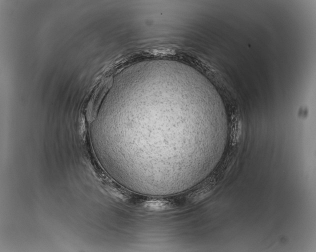 X0000114990704200911091335