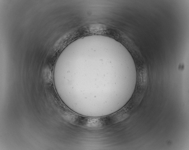 X0000114990705200911091335