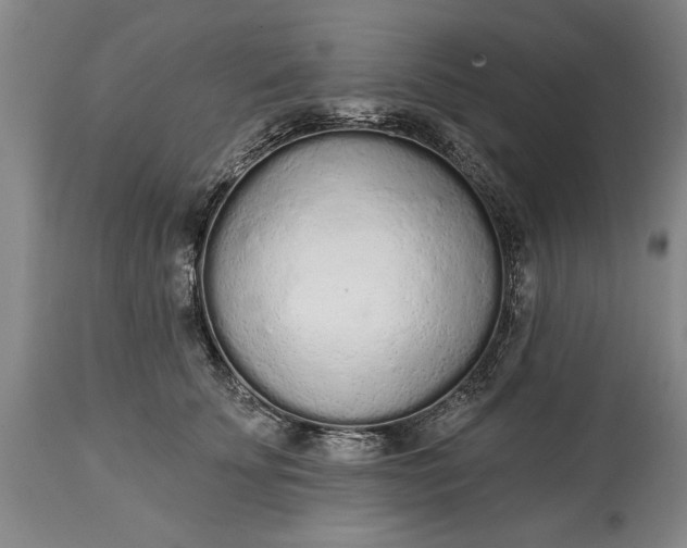 X0000114990707200911091335