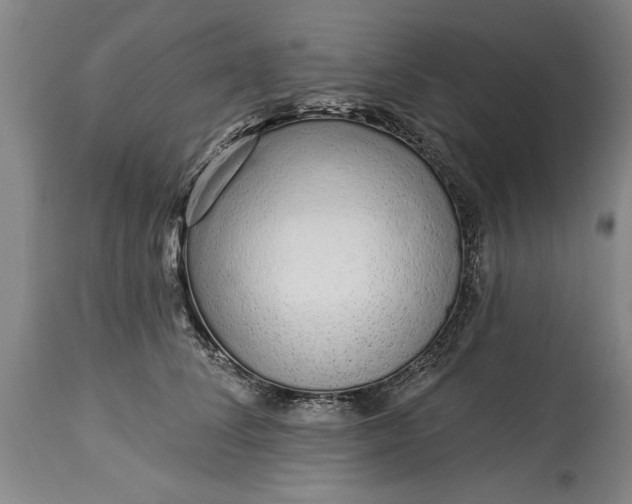 X0000114990708200911091335