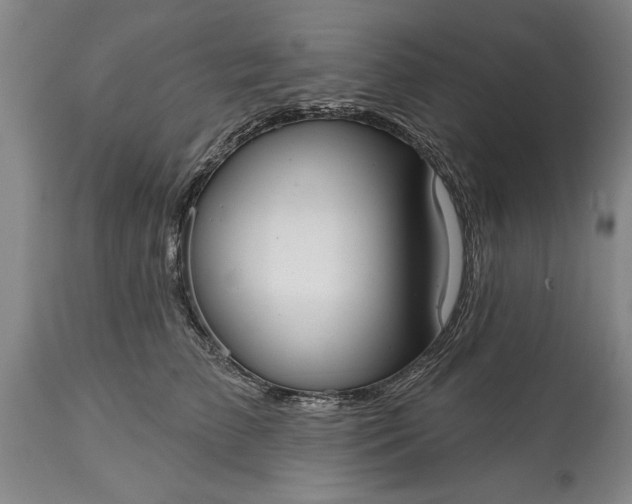 X0000114990709200911091335