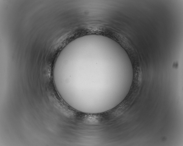 X0000114990710200911091335