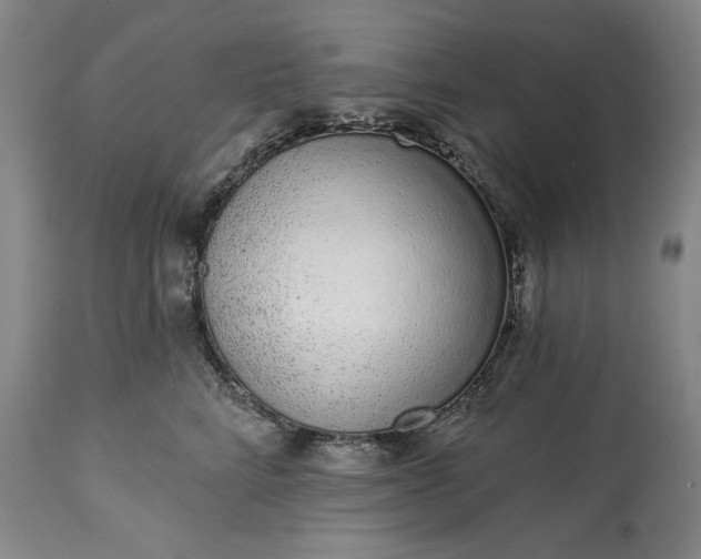 X0000114990712200911091335