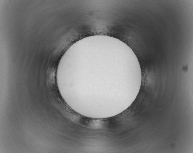 X0000114990717200911091335