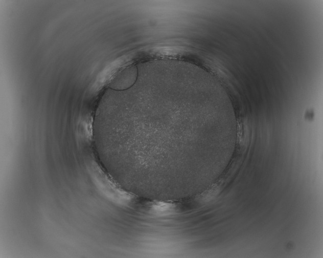 X0000114990718200911091335