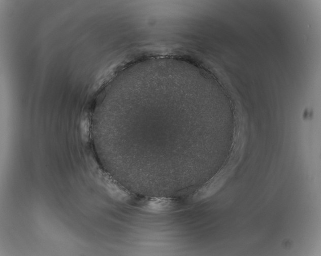 X0000114990720200911091335
