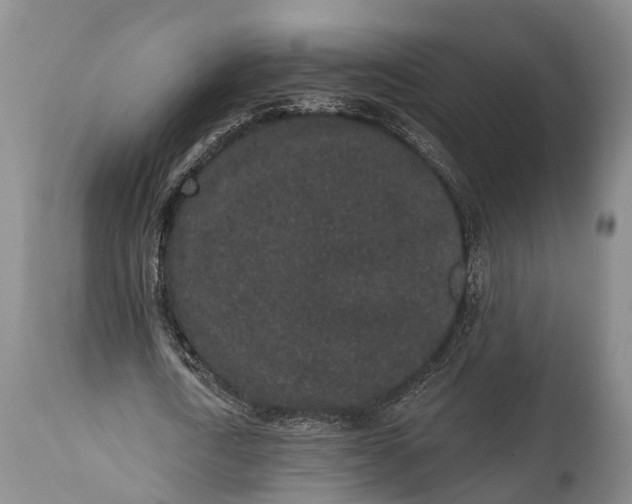 X0000114990722200911091334