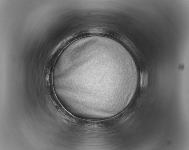 X0000114990723200911091334
