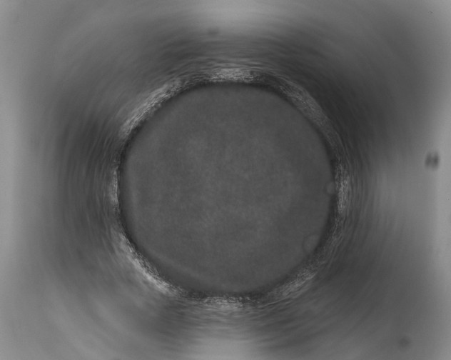 X0000114990729200911091334