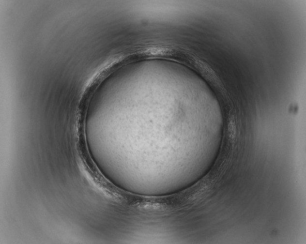X0000114990730200911091334