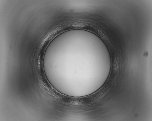 X0000114990731200911091334